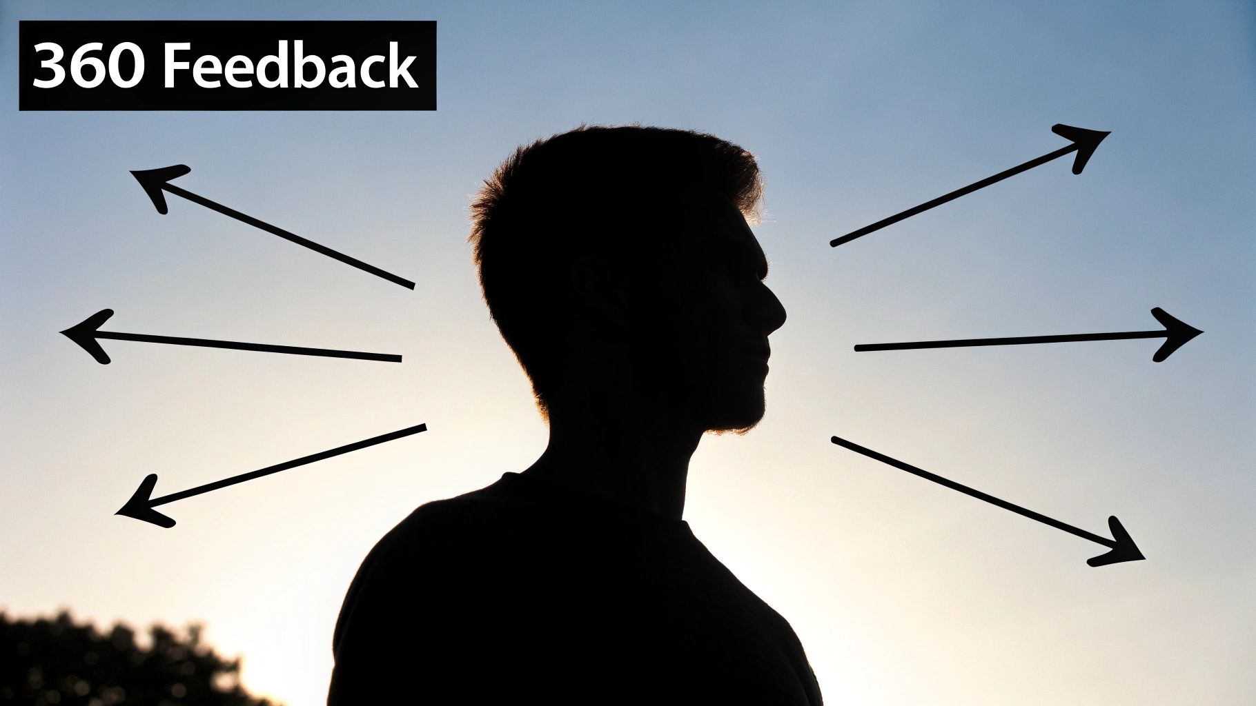 360-Degree Feedback