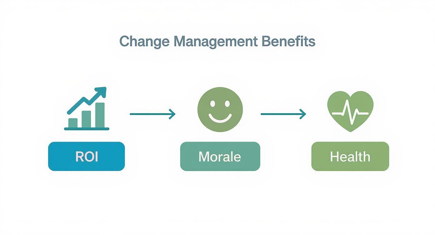 Infographic about what is change management process