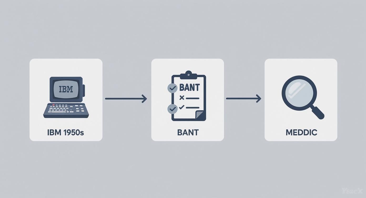 Infographic about sales qualification frameworks