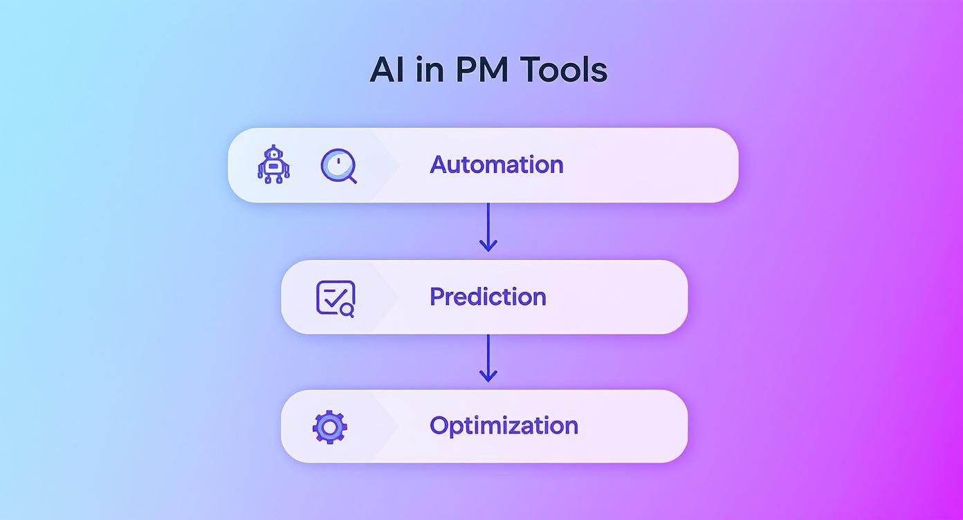 Infographic about project management tools comparison