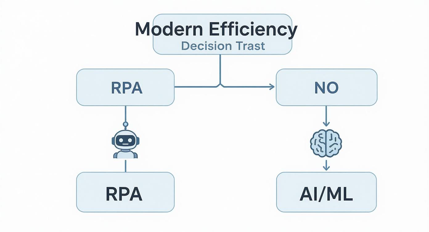 Flowchart illustrating modern efficiency decision paths, contrasting RPA automation with AI/ML.